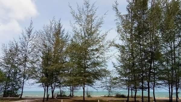 Paka Tamim Seaview Hotel Bagian luar foto